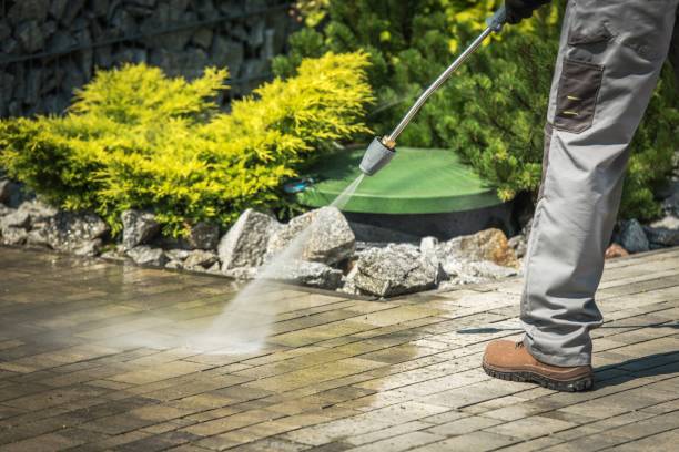 Best Fence Cleaning  in Trenton, MO
