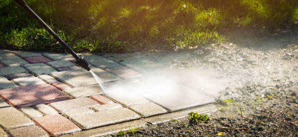 Best Solar Panel Cleaning  in Trenton, MO